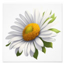 Search for flower power posters Daisy