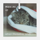 Search for grumpy cat ornaments Cats