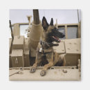 Search for military magnets Iraq