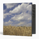 Search for crops binders Farm
