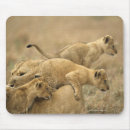 Search for carefree electronics Nature