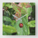 Search for ladybug clocks Green