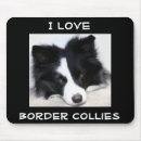 Recherche de chien border collie tapis souris Chiot