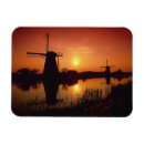 Recherche de roseaux magnets Paysage