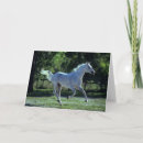 Search for backlit cards Stallion