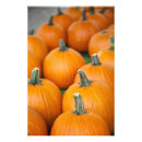 Recherche de courge posters Automne