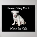 Search for cold dog posters Winter