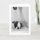 Recherche de baignoire vœux cartes Chien