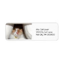 Search for peek labels Cute