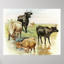 Search for vintage farm animal posters Antique