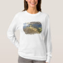 Search for ancient inca clothing South america