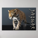 Recherche de jaguar posters Sauvage