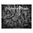 Search for black and white tropical posters Monochrome