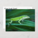 Recherche de lézard vert cartes postales Animal