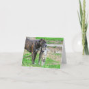Search for brindle cards Pit bull