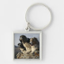 Search for surveillance keychains Watching