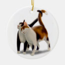 Recherche de minous ornements Chatons