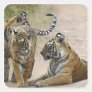 Search for asian tiger stickers Natural