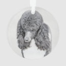 Search for standard poodle ornaments Dog