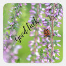 Search for purple ladybug stickers Nature
