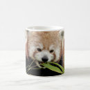 Search for red panda mugs Asia