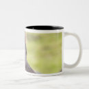Search for teething mugs Close up