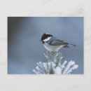 Search for switzerland christmas cards Winter