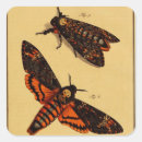 Search for death head stickers Insect