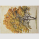 Search for autumn tissue paper Tree