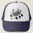 Search for solar system hats Science