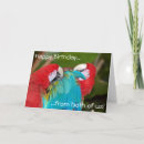 Search for macaw birthday cards Bird