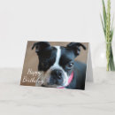 Search for eyes closed cards Animal