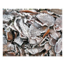 Recherche de gel posters Hiver
