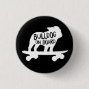 Recherche de border badges Dog