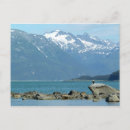 Search for alaska eagle postcards Nature