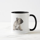 Search for pedigree dogs mugs Nature