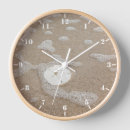Search for sand dollar clocks Beach