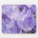 Search for spring crocus mousepads Garden