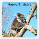 Search for koalas stickers Bear