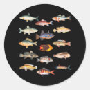 Search for species stickers Fish