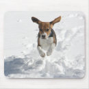 Search for beagle mousepads Snoopy