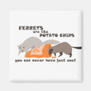 Search for ferret magnets Fun