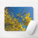 Search for ash mousepads Photography