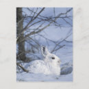 Recherche de se givrer cartes postales Givrée