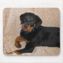 Search for leopard design mousepads Animals
