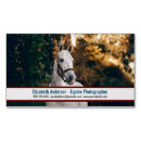 Recherche de équin photographie Équestre