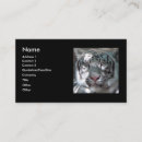 Search for tiger business cards Big cats