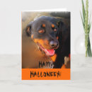 Search for love halloween cards Happy