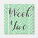 Recherche de chevron vert magnets Moderne