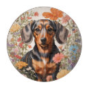 Search for dachshunds cutting boards Cute